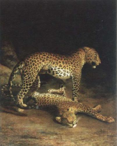 Jacques-Laurent Agasse two leopards playing Norge oil painting art